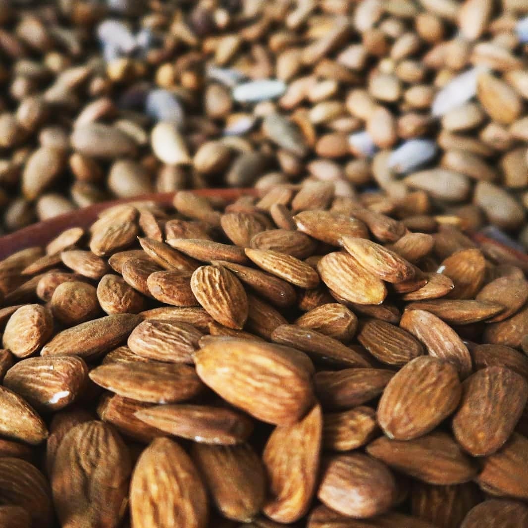 Amêndoas é que não lhe podem faltar! Aproveite até ao final de Julho a nossa promoção: 7,5€/Kg (antes a 11€/Kg)