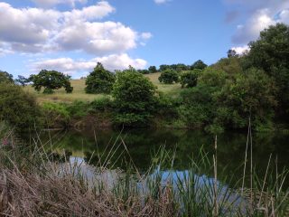 Para os lados da Serra de São Paio, com Trevões pelo meio e no lado oposto das vinhas, a paisagem é bem diferente e a água muito mais abundante.